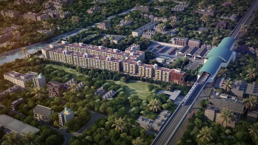 Radiance Flourish: Elevation top view