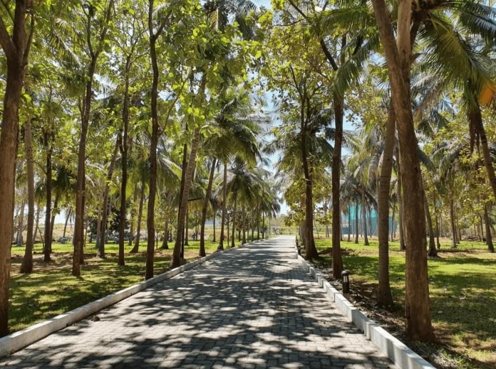 Ziva: Chennai retirement homes